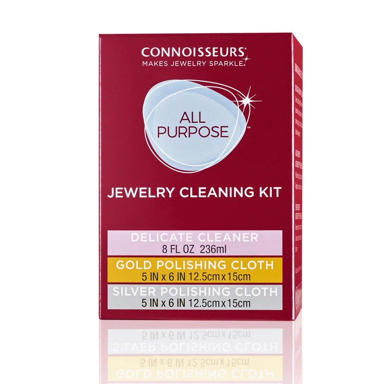 All-purpose jewelry cleaning kit