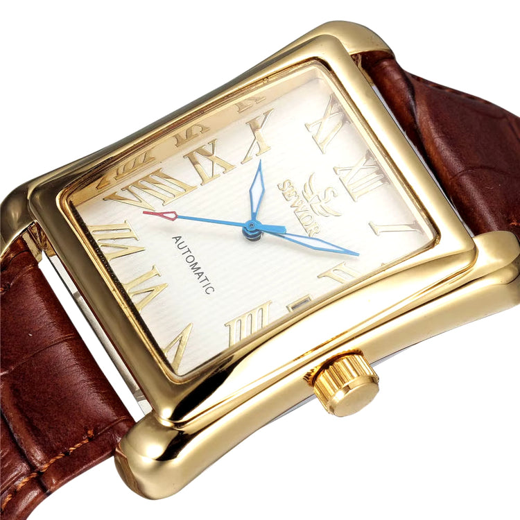 Luxury men's watch