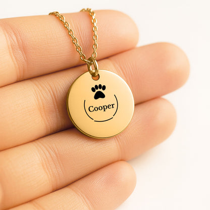 Pet Name Paw Print Coin Necklace, Personalized Dog or Cat Gift