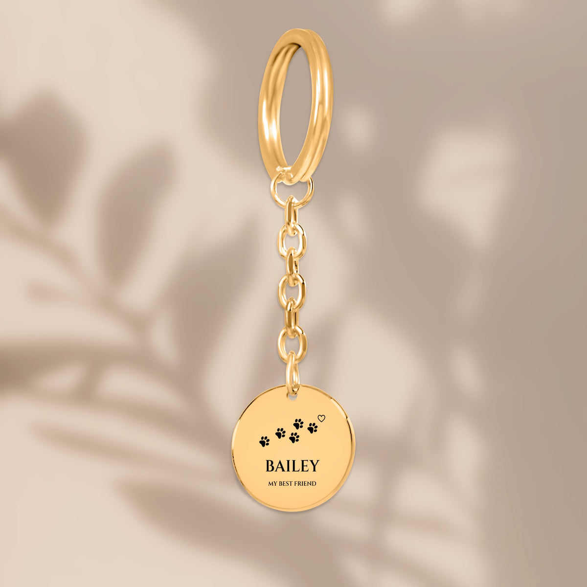 Paw print pet name coin keychain in soft window light