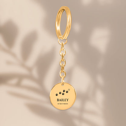 Paw print pet name coin keychain in soft window light