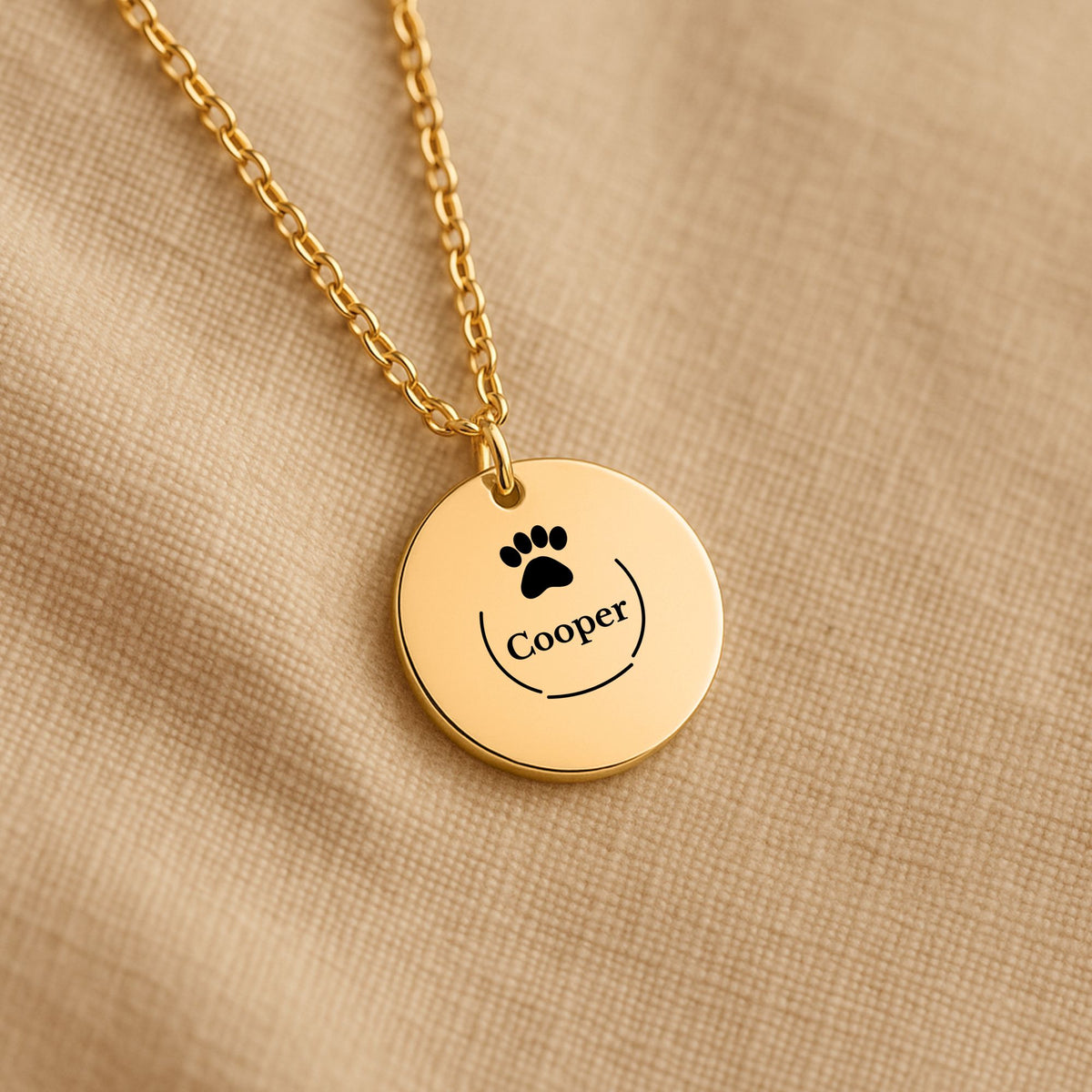 Pet Name Paw Print Coin Necklace, Personalized Dog or Cat Gift